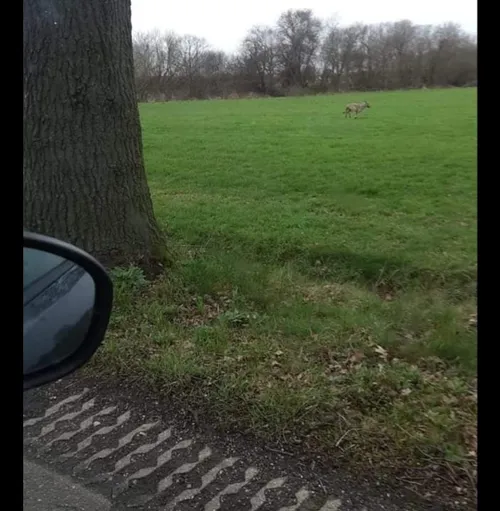 whatsapp image 2023 02 24 at 173944