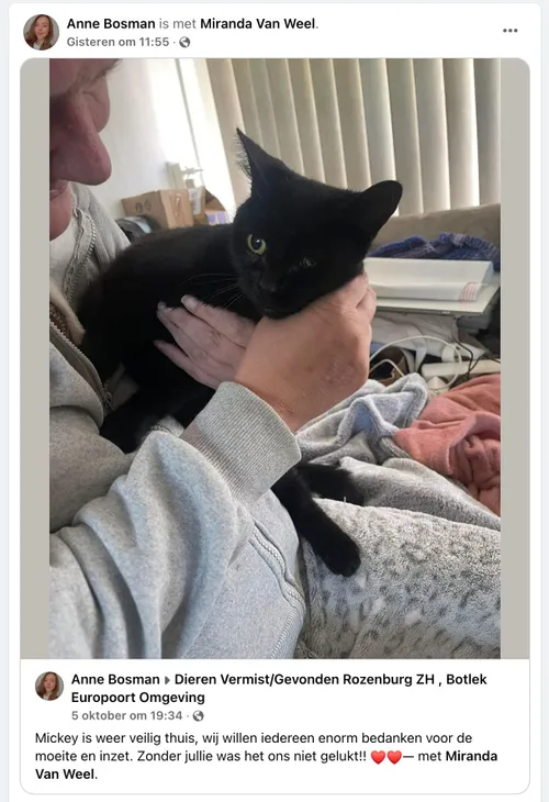 picture vk kat mickey werd op klaarlichte dag ontvoerd in rozenburg maar is gelukkig weer thuis