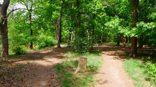 104922953 3384836171569199 5789185955983288527 o