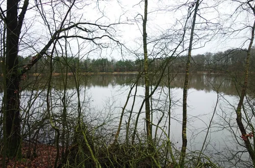 180104 wandelen donderdag 6893