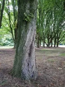 20190711 162952 e1565964000397 225x300