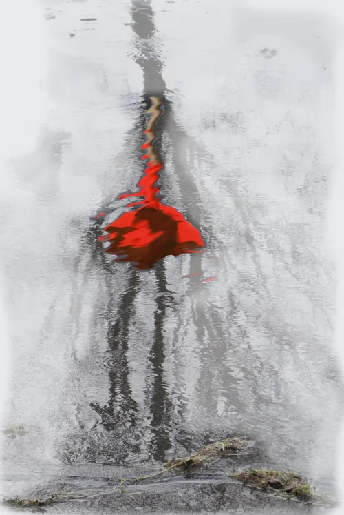 2022sandra ijsselmeisje