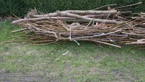 30653315 1893208700731961 4969695040315064320 n 715x408 915x518