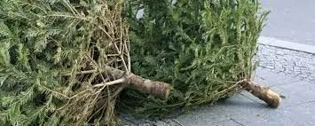 321467627 1178599776419680 5715374371641921476 n