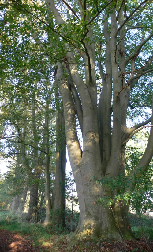 33333333333333333333