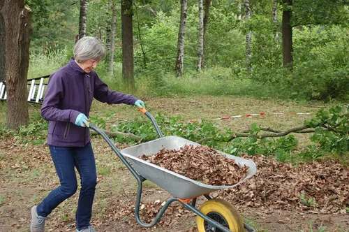 4402 64cf9d32f1862b1f4c3a7e27f1dfa22d