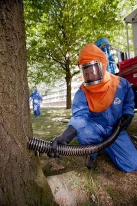 60201326 2478387765547382 6699287716263100416 n