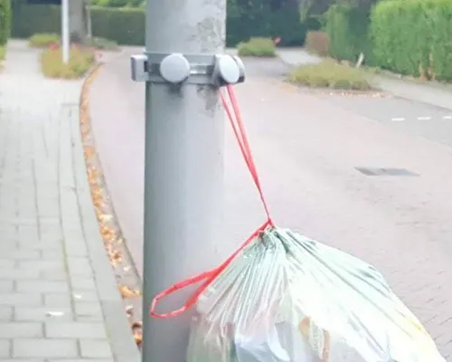 62489409 2533841856668639 5840529372162818048 n