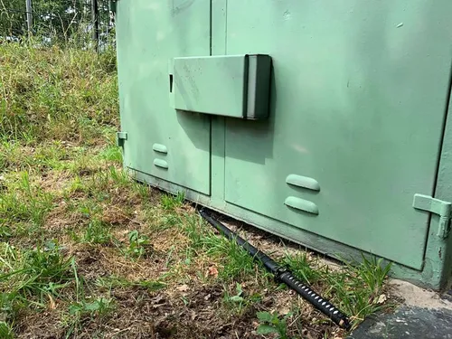 64447293 1729939547150127 5091613236109770752 n