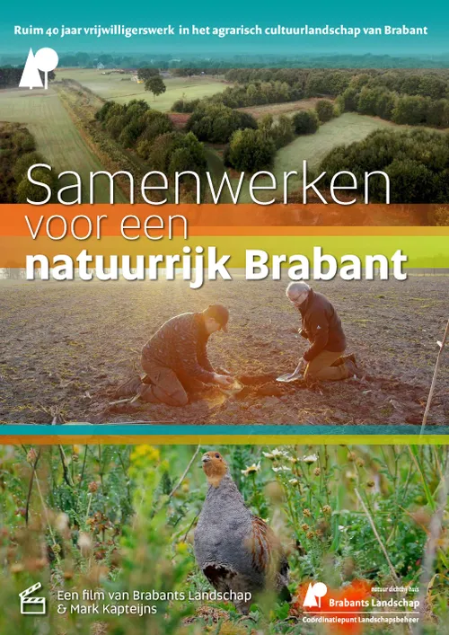 a2 filmposter brabants landschap def