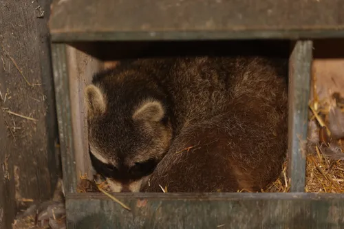 bart meesters 20210406074803 0