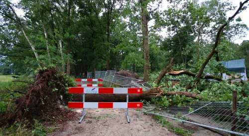 boom broeksteeg haaren 2