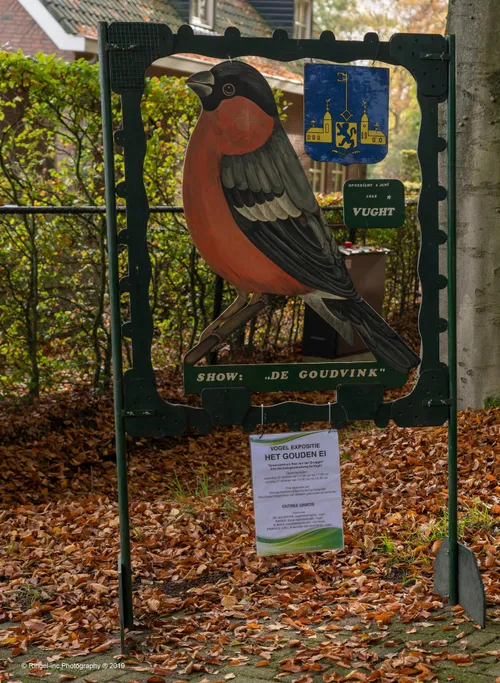 de goudvink 2019 0002