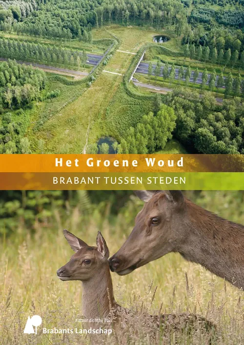 filmposter het groene woud