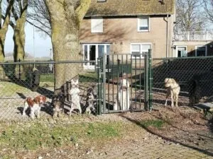 heusden nieuws 4 1 300x225