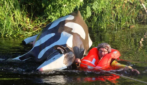 laatste uitruk willem 6