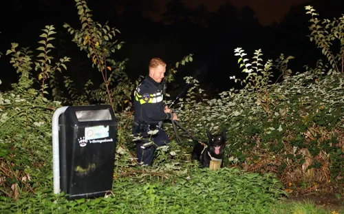 mediamarkt den bosch 3
