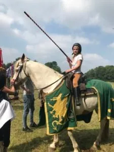 riddertepaard 300x225