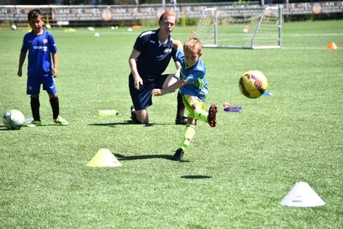 sv real lunet mini 2