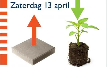 tegel erin plantje erin