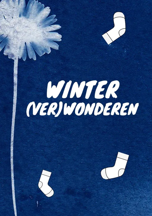 voorkant beeld winterverwonderen