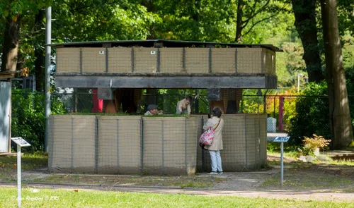 Genie Museum - 14-09-2025  06