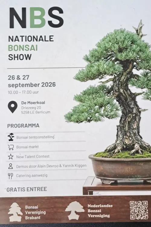 flyer NBS 2026