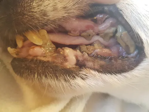 104262959 1768759686598523 1838084836491564157 n