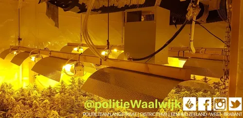 105897040 630116617590945 622395983502091475 o