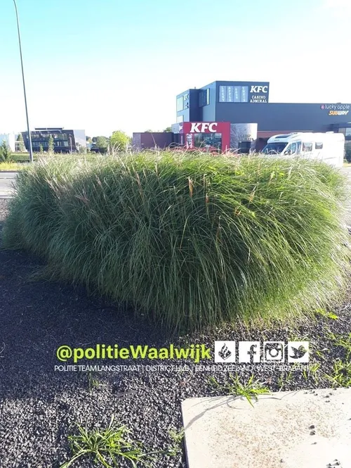 117164020 655012231768050 5154667809239957024 o