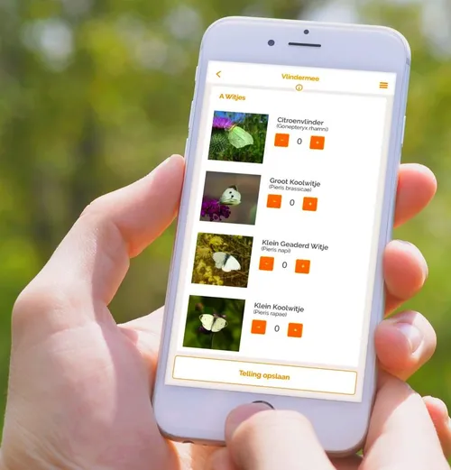 1269 d89c1d0a0e7a4ce05b997efc151f5f6e