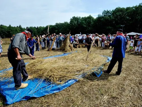 12993325 494120384108058 1742143327587752997 n