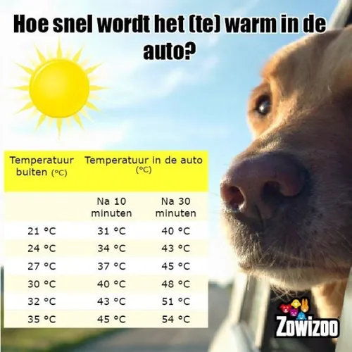 150704 temperatuur voor hond in auto zowizoo 600x600