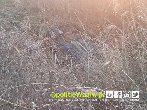 152999263 782781668991105 91566146823247373 o