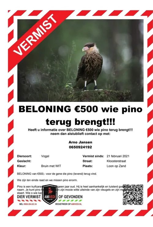 154680573 3803202819774317 481562472750929299 o