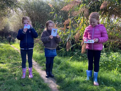 1584 0d13ea747fd59cd62f9aac924a8e0ed5