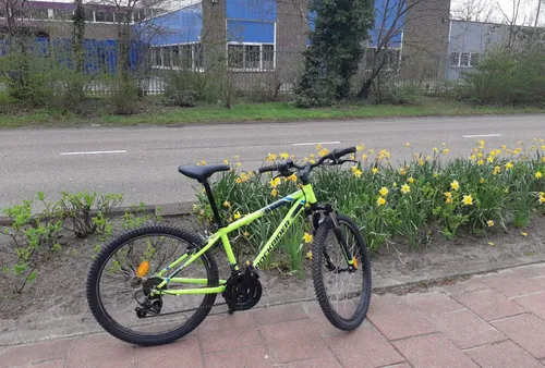 168815241 805306926738579 7826708829128440644 n