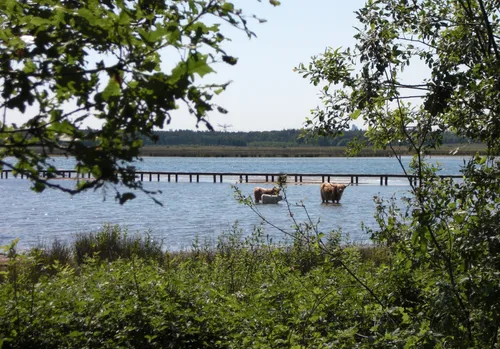 1a enkele jaren geleden