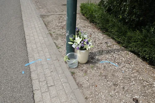 20190626133613 fpmb5939