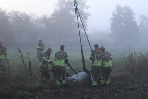 20221018094818 img 6245