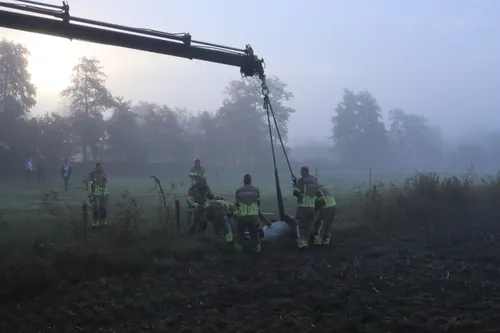 20221018094820 img 6246