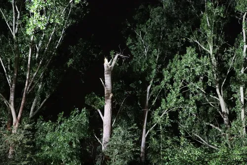 20230704020434 img 0033