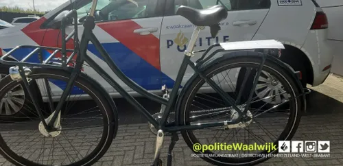 242033922 215486390612588 4539006874907050240 n