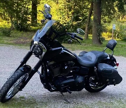 244335117 226259776201916 2733477862511272544 n