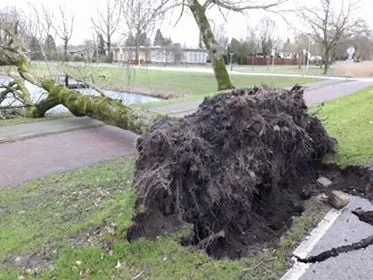 26940360 1560346087406620 12178017 n