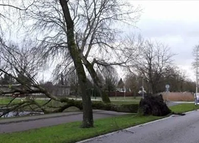 26996447 1560345984073297 1557974760 n