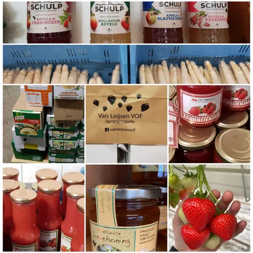 277787411 439834754613016 3036779334911502051 n