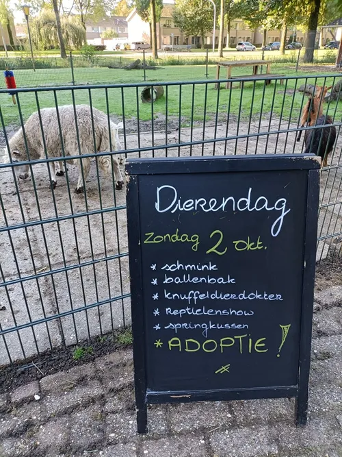 309020434 559120012682061 509359394436647717 n