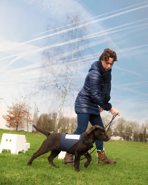 3187 f162099274d2dab0c270eb077a50c2d2