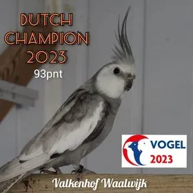 324857936 570504511255379 2668740261316965233 n